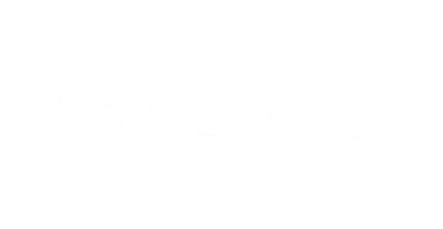 partners who work with vave